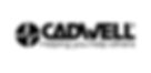 Royal Medical is the sole agent for Cadwell equipment in Egypt, from USA